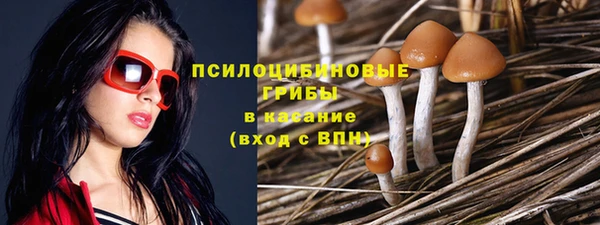 гашик Абинск