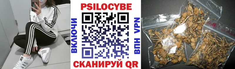 Псилоцибиновые грибы мицелий  дарнет шоп  Касимов 